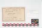 Foto von Eisenhelm (NHMW-PRAE-048323)